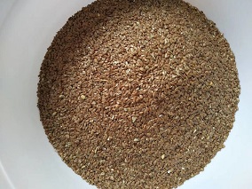 Customers Come to Test DCCZ7-15 Roasting Machine for Roasting Flaxseed