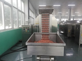 Customer Come Test 8 Meters Roasting Production Line for Peanut