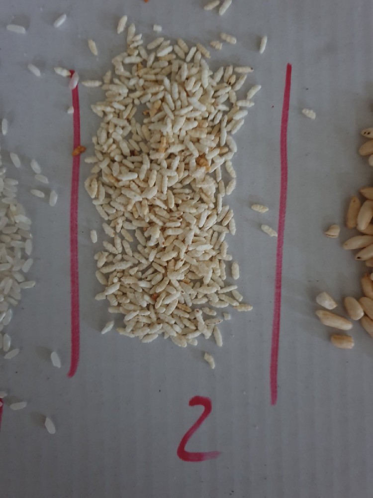 Hungarian customer factory rice test